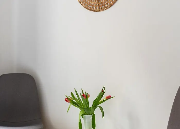 Zakatek Ulica Legionow